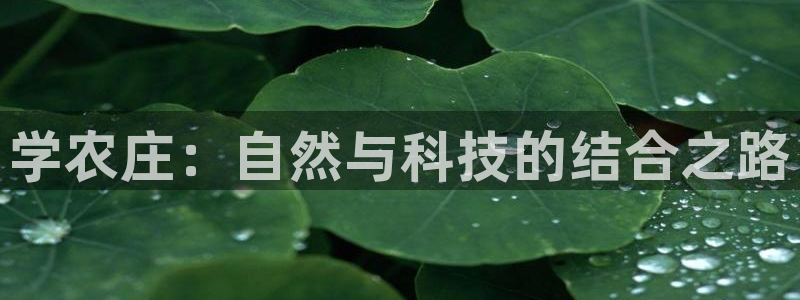 琳琅娱乐挂机
