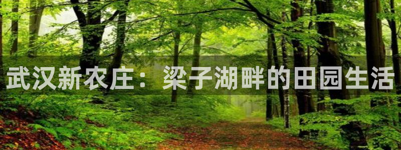 琳琅娱乐足球