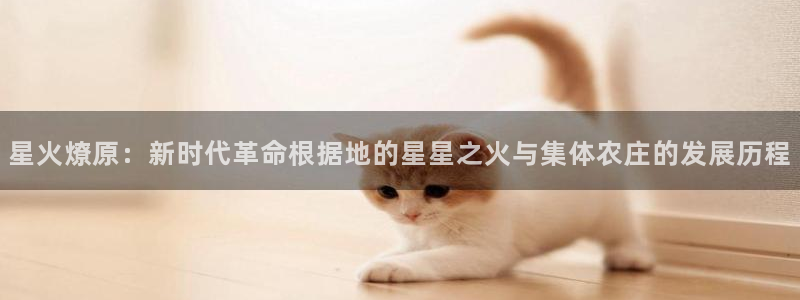 琳琅满目的娱乐设施