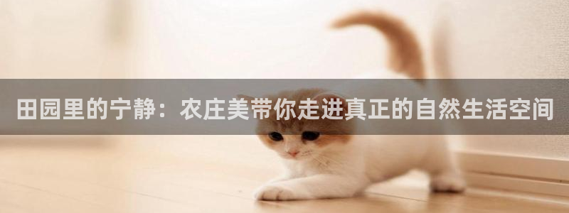 娱乐从琳琅榜开始笔趣阁
