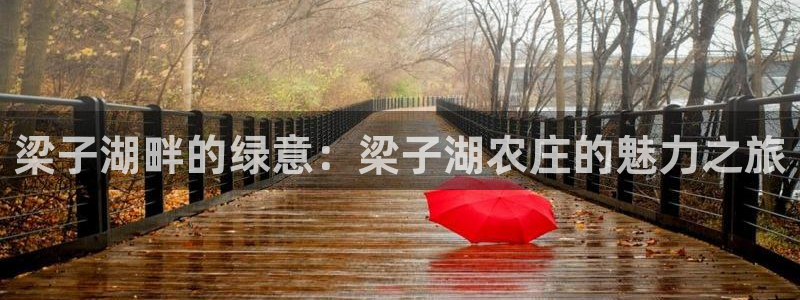 琳琅娱乐代理怎么做的