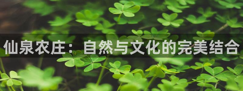 琳琅娱乐官网