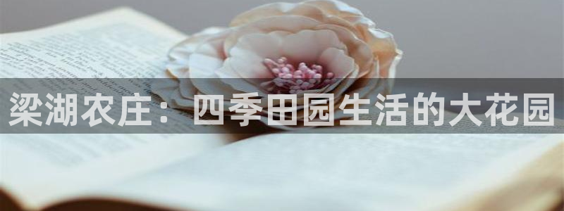琳琅娱乐