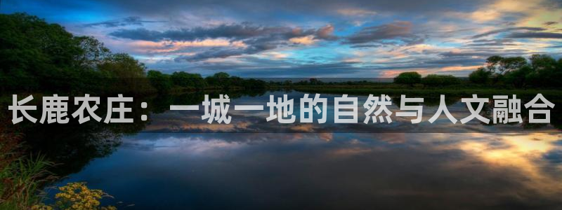 娱乐从琳琅榜开始的小说