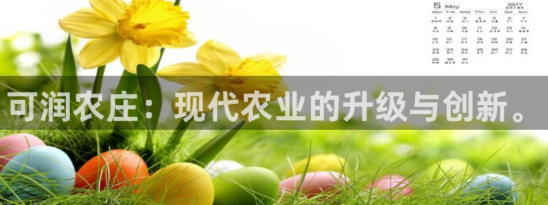 qq飞车琳琅娱乐组