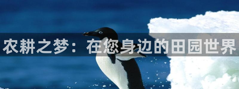 琳琅娱乐