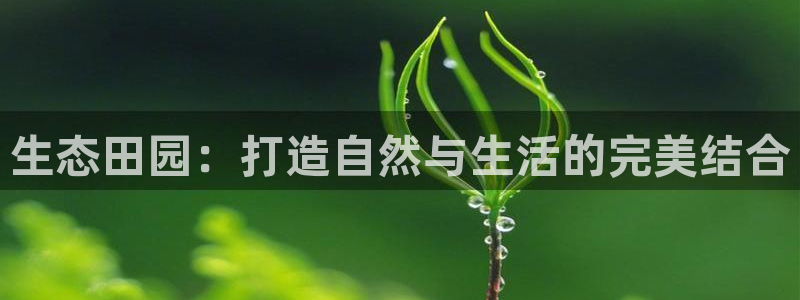 琳琅作者娱乐圈女主