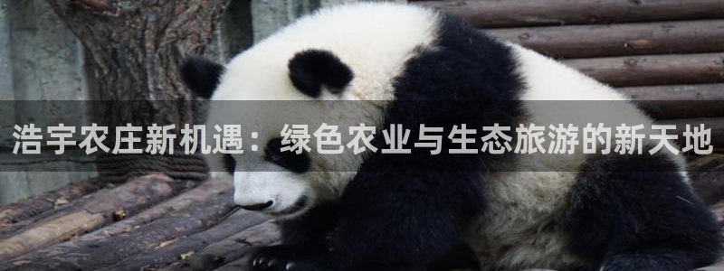 琳琅娱乐周7O777