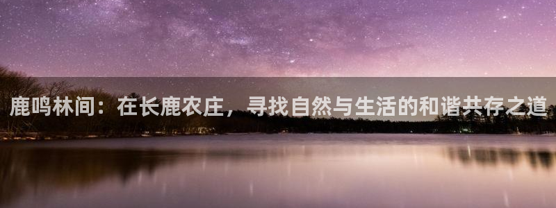 琳琅娱乐领先33300