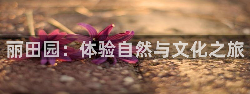 琳琅娱乐工作室怎么样