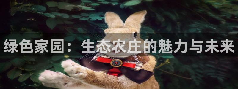 琳琅娱乐天美2