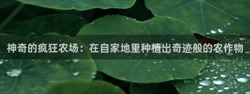 琳琅科技娱乐机器人插件