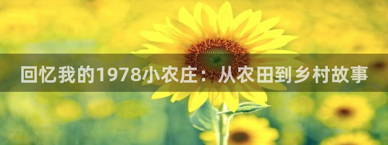 琳琅娱乐工作室地址