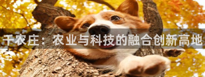 琳琅娱乐平台怎么样可靠吗