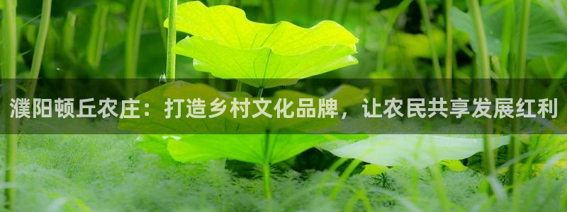 琳琅娱乐平台怎么样啊