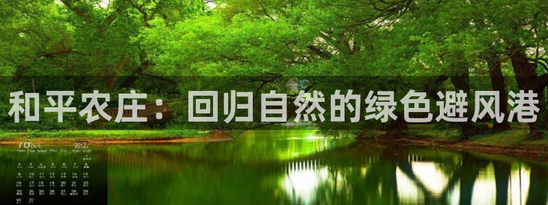 琳琅科技娱乐机器人插件