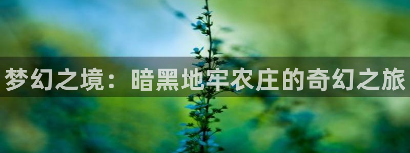 琳琅科技娱乐机器人