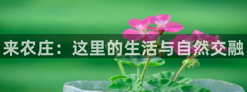 琳琅娱乐百科