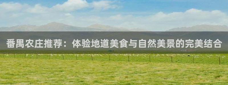 娱乐从琳琅榜开始的小说