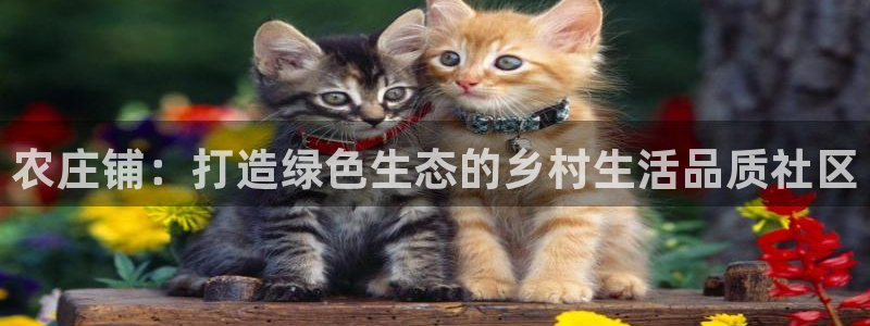 琳琅娱乐放心33300