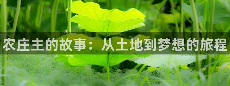 琳琅说娱乐