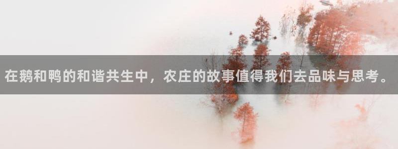琳琅科技娱乐机器
