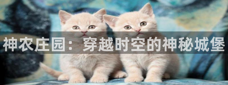 琳琅娱乐工作室怎么样啊
