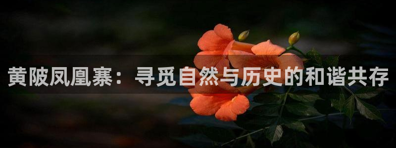 琳琅科技qq娱乐机器人