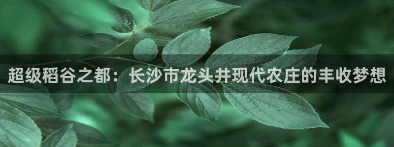 琳琅娱乐周7O777