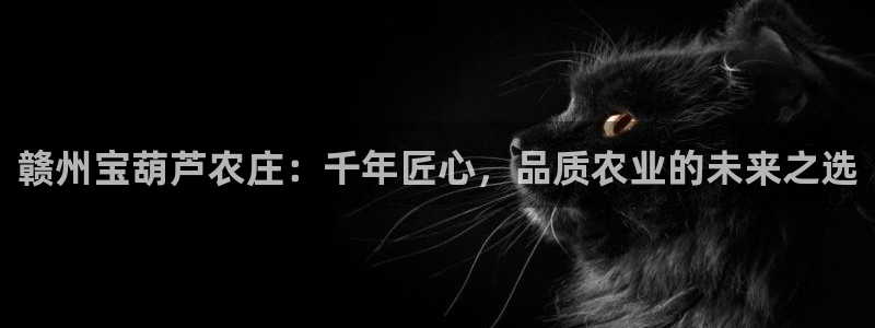 梧州琳琅娱乐城