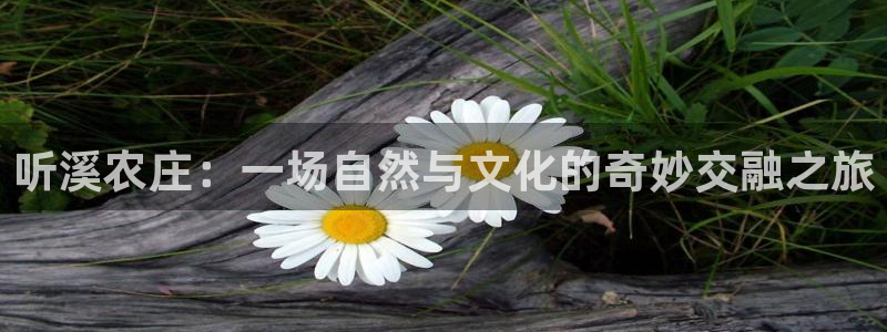琳琅科技qq娱乐机器人怎么搞