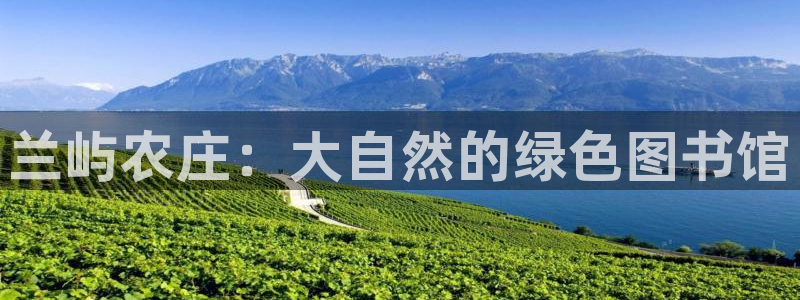 琳琅娱乐机器人