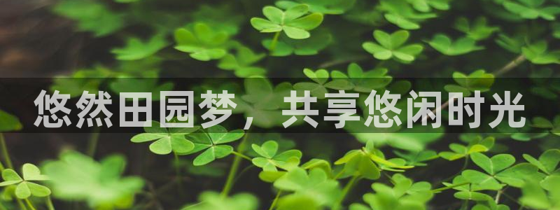 琳琅科技娱乐机器人插件