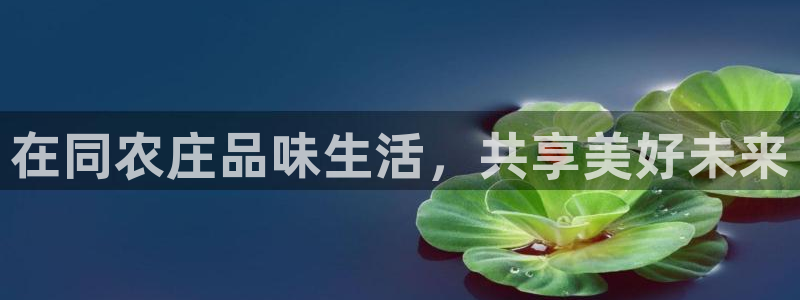 琳琅社区综艺文化娱乐