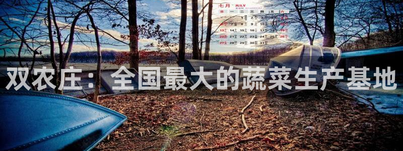 琳琅社区娱乐视频