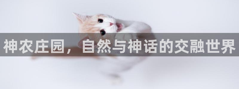 琳琅娱乐总代