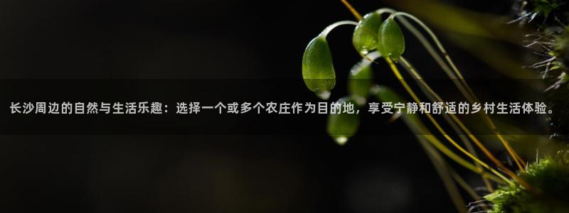 琳琅科技娱乐机器人