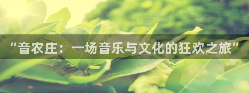 琳琅娱乐 全麦优质