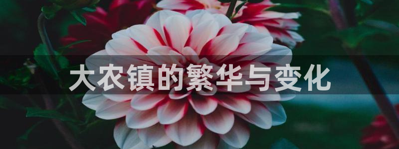 琳琅娱乐招商注册