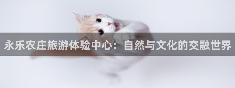 琳琅娱乐平台是真的吗