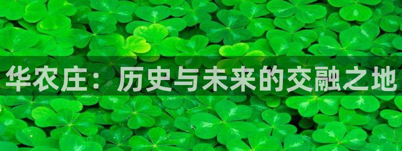 琳琅娱乐是什么