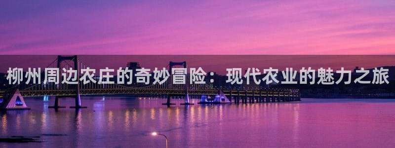 qq琳琅科技娱乐机器人