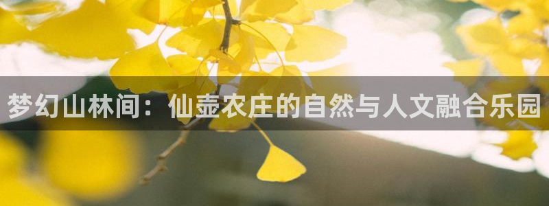 琳琅天上qq飞车娱乐