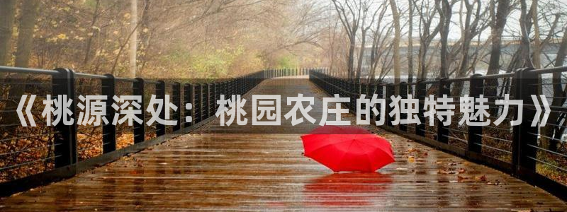 琳琅娱乐注册登录官网