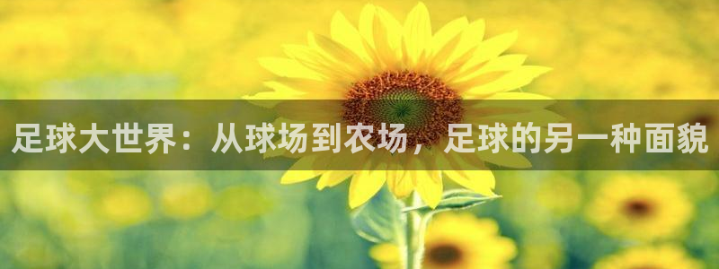 qq琳琅科技娱乐机器人