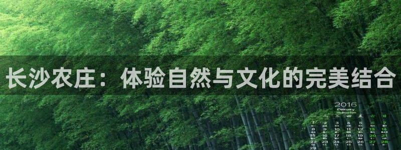 琳琅娱乐温柔乡网站