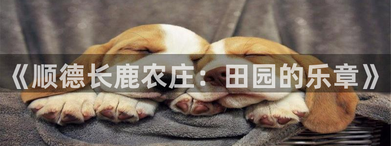 琳琅国际娱乐会所怎么样