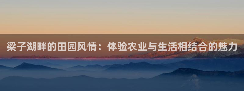 琳琅娱乐是什么