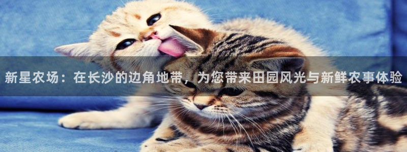 琳琅娱乐除7O777