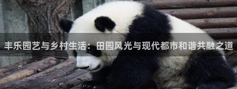 琳琅国际娱乐会所